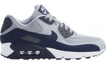 Grey Blue Nike Air Max 90 Essential Shoes Mens BA2238-655