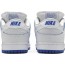 White Dunk Low Premium SB Shoes Mens FA6242-127