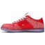 Red Dunk Stingwater x Dunk Low SB Shoes Mens GV7656-680