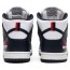 White Dunk SB Dunk High Pro Shoes Mens NB2133-501
