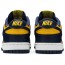 Navy Dunk Low Shoes Womens SU5241-462