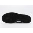 Black Dunk Low Premium SB Shoes Womens XC3966-408
