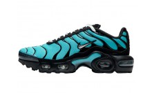 Light Turquoise Nike Air Max Plus GS Shoes Mens FQ9372-990
